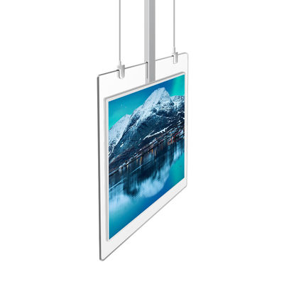 O Super Slim pavimenta a exposição frente e verso estando 43Inch transparente do Signage OLED de Digitas